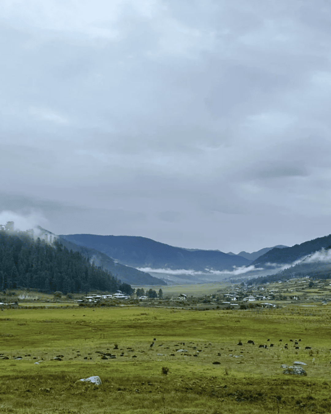 Paro Valley