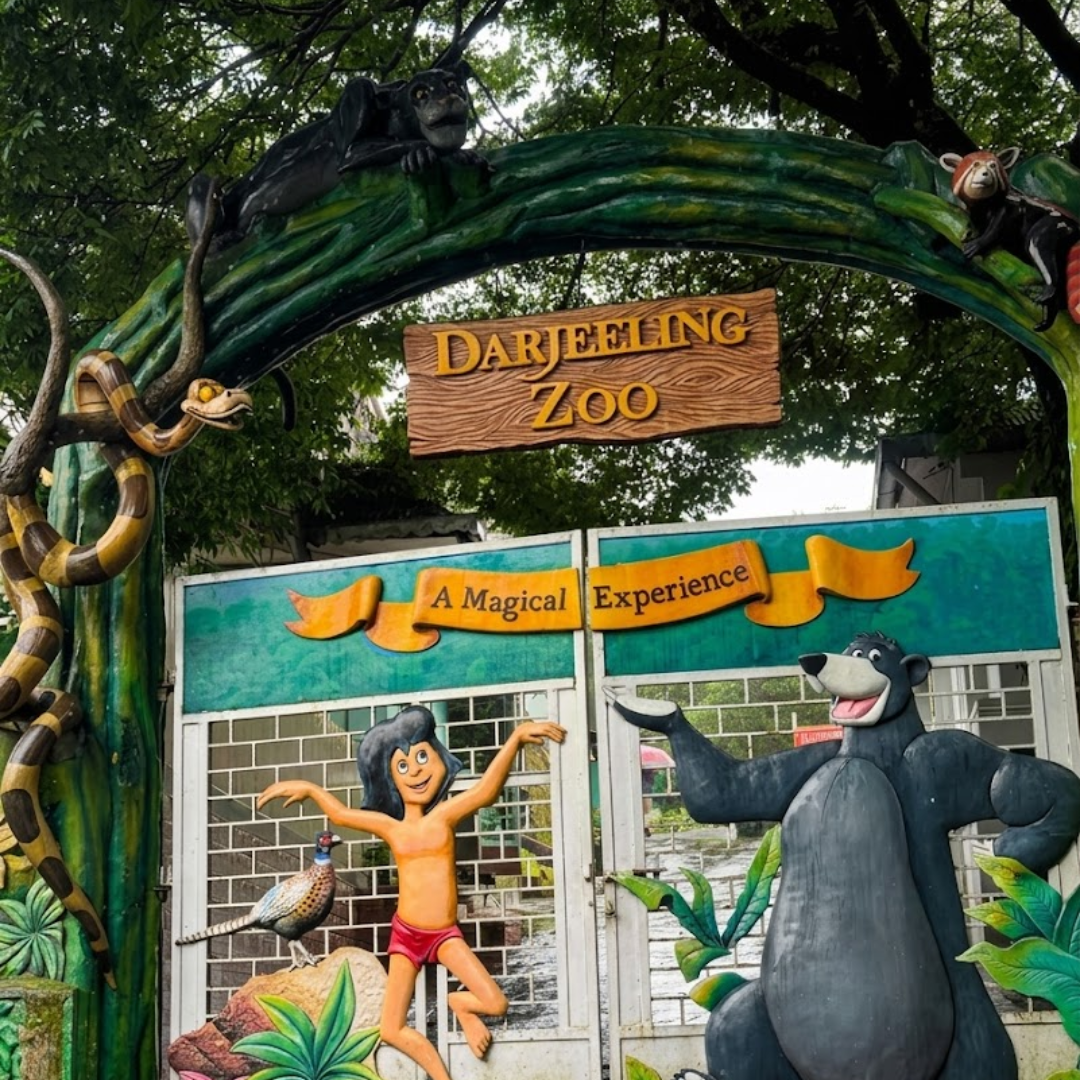 Padmaja Naidu Himalayan Zoological Park & Himalayan Mountaineering Institute
