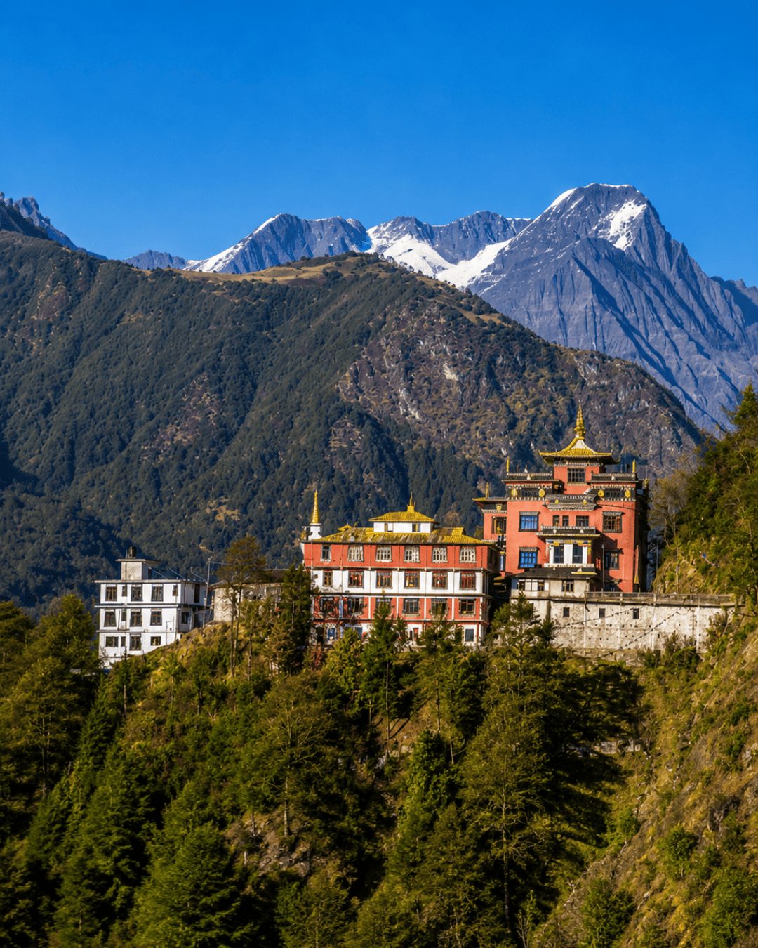 Buddhist Monasteries