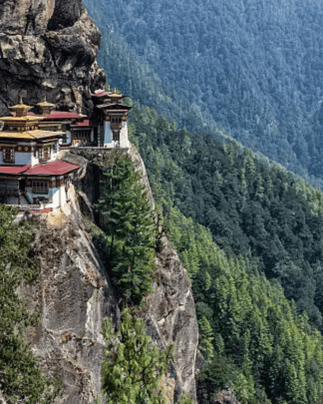 Tiger’s Nest Monastery Viewpoint